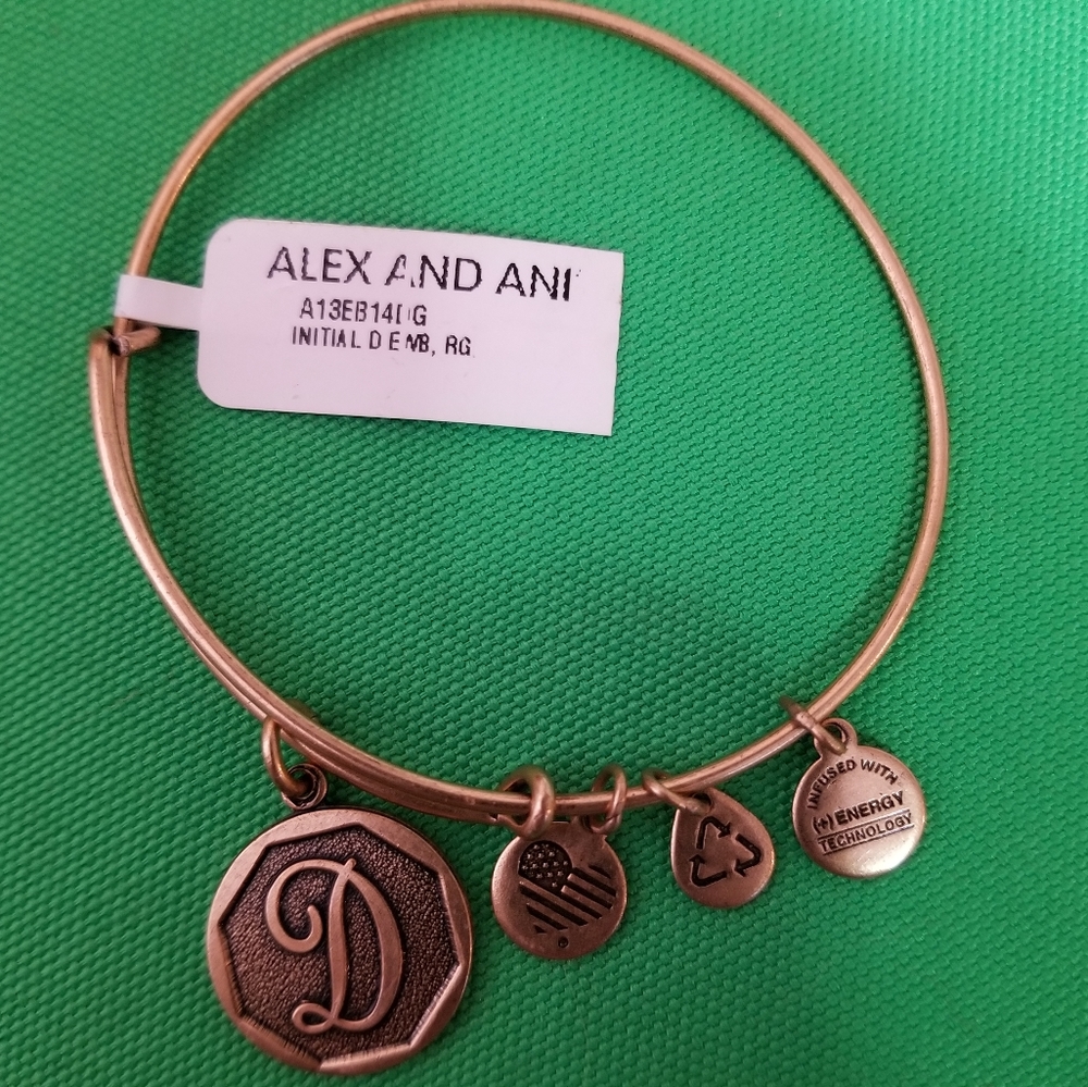 NWT Alex and Ani charm bracelet with initial D